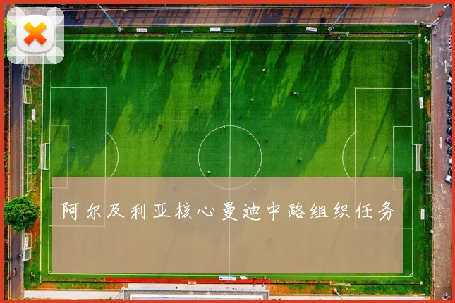 阿尔及利亚核心曼迪中路组织任务