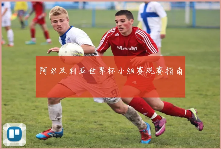 阿尔及利亚世界杯小组赛观赛指南