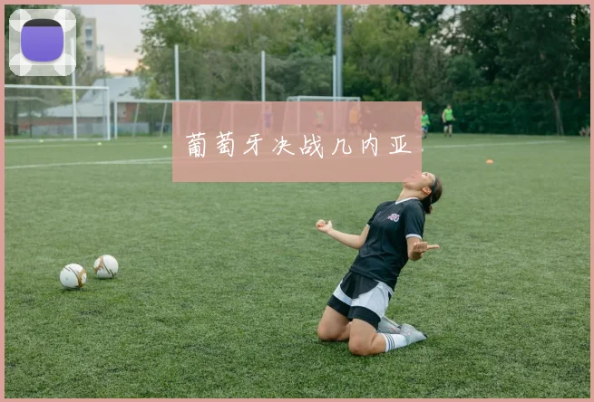 葡萄牙决战几内亚