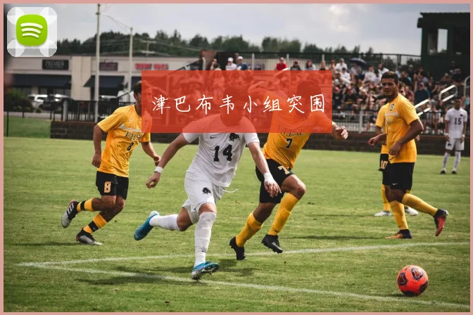 津巴布韦小组突围