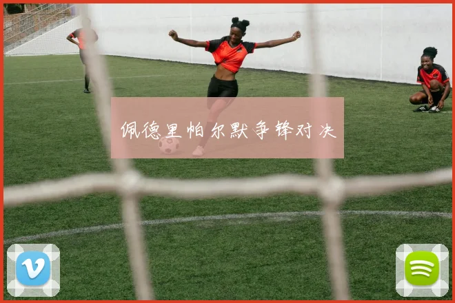 佩德里帕尔默争锋对决