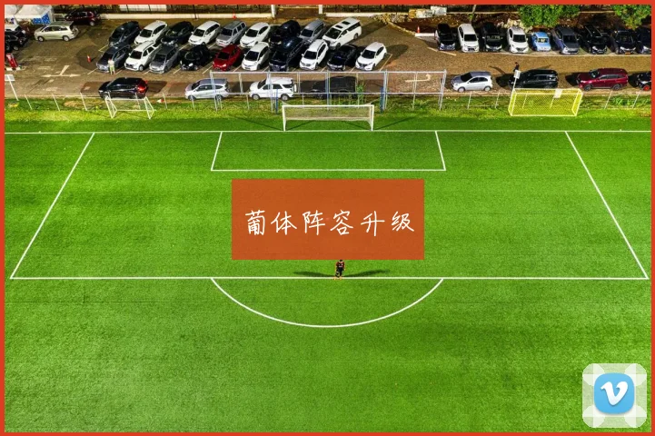 葡体阵容升级