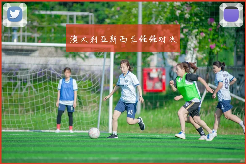 澳大利亚新西兰强强对决