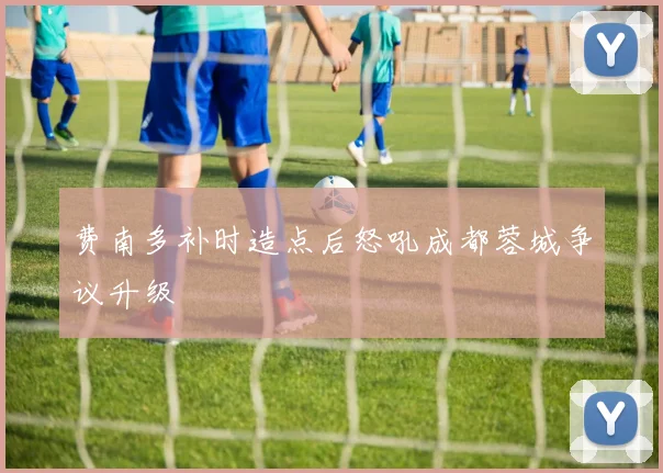 费南多补时造点后怒吼成都蓉城争议升级