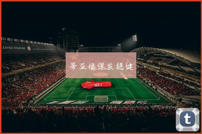 蒂亚福保发稳健