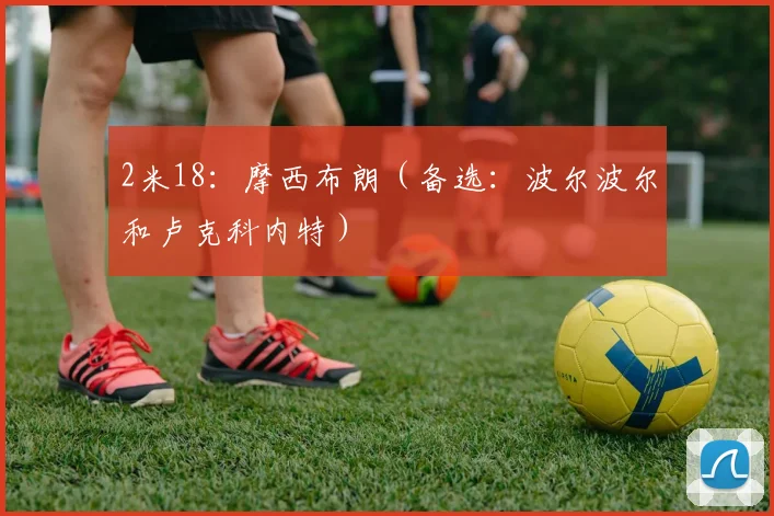 2米18:摩西布朗(备选:波尔波尔和卢克科内特)