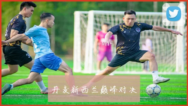 丹麦新西兰巅峰对决