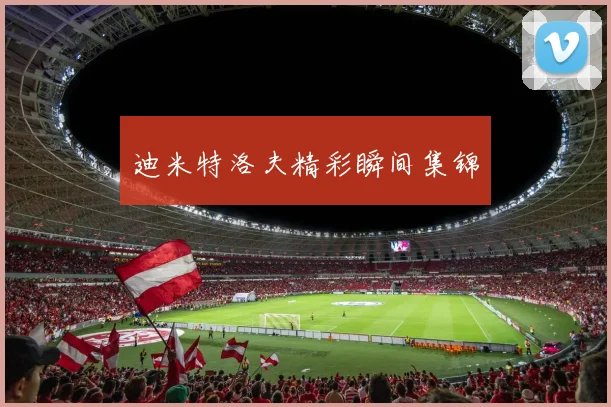 迪米特洛夫精彩瞬间集锦