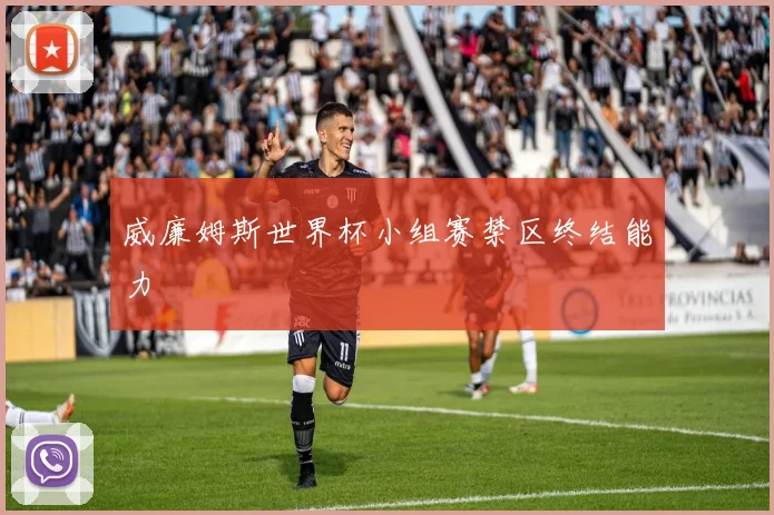 威廉姆斯世界杯小组赛禁区终结能力