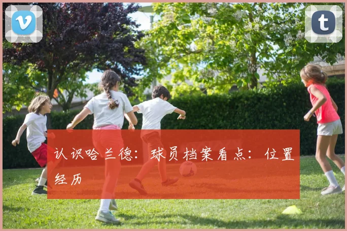 认识哈兰德：球员档案看点：位置经历