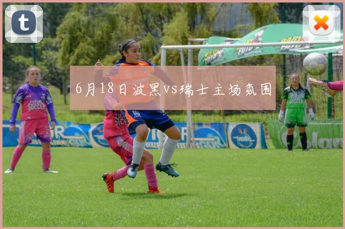 6月18日波黑vs瑞士主场氛围