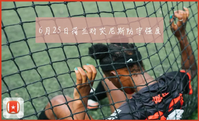 6月25日荷兰对突尼斯防守强度