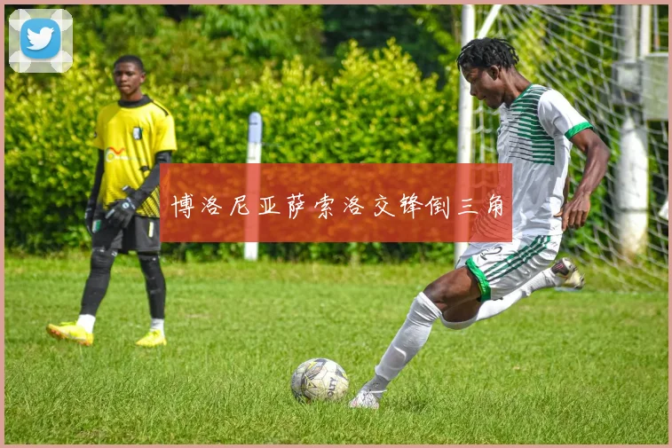 博洛尼亚萨索洛交锋倒三角