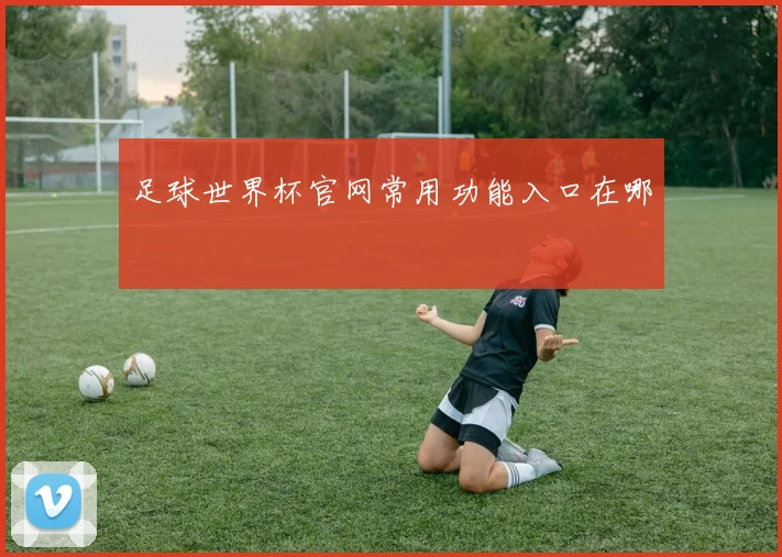 足球世界杯官网常用功能入口在哪